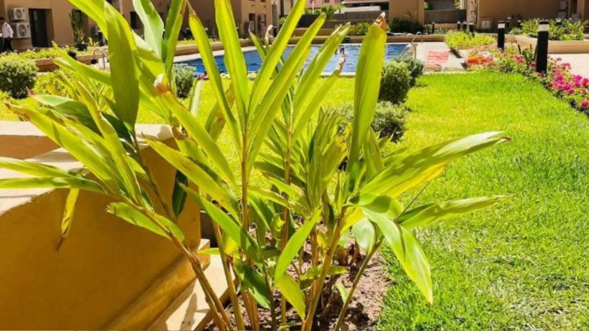 Duplex Palmeraie Gates Apartment Marrakesh Morocco